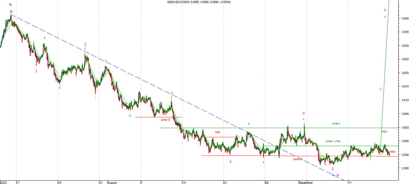 nzd1