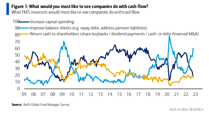 FMS Investor Views On Free Cash Flow Spend