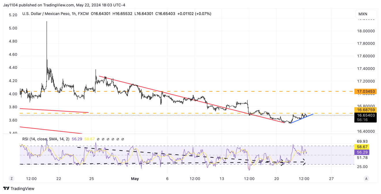 USD/MXN-Hourly Chart