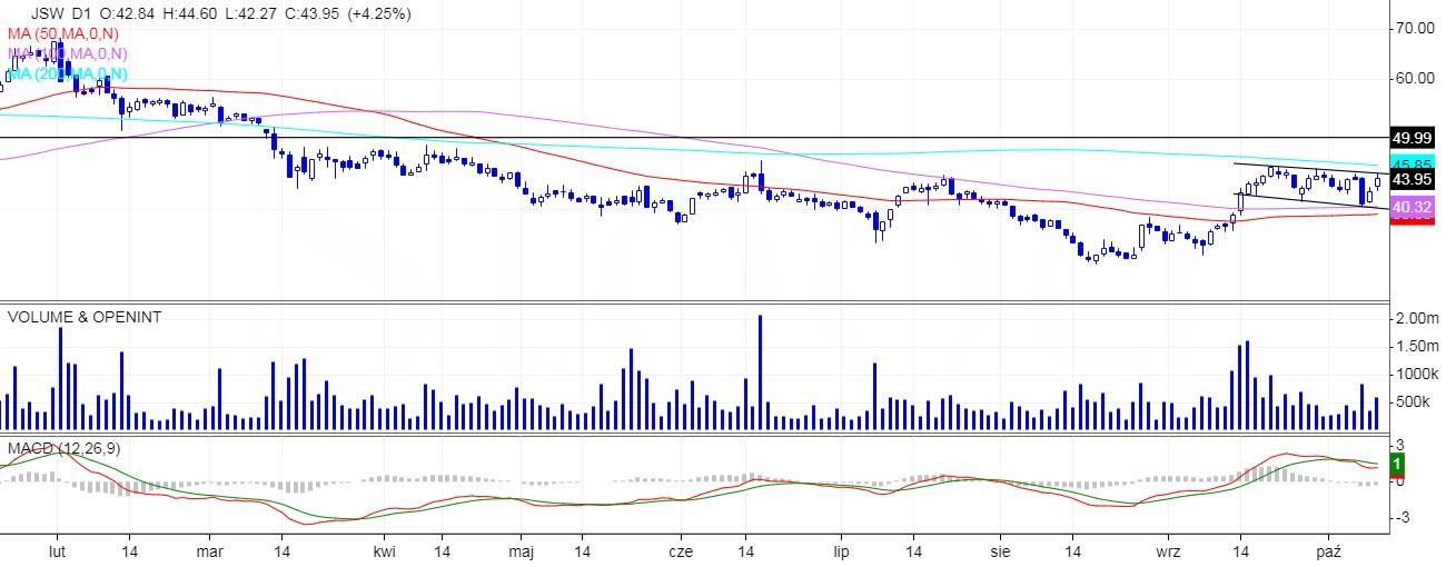 Spółki: Grupa Azoty oraz JSW