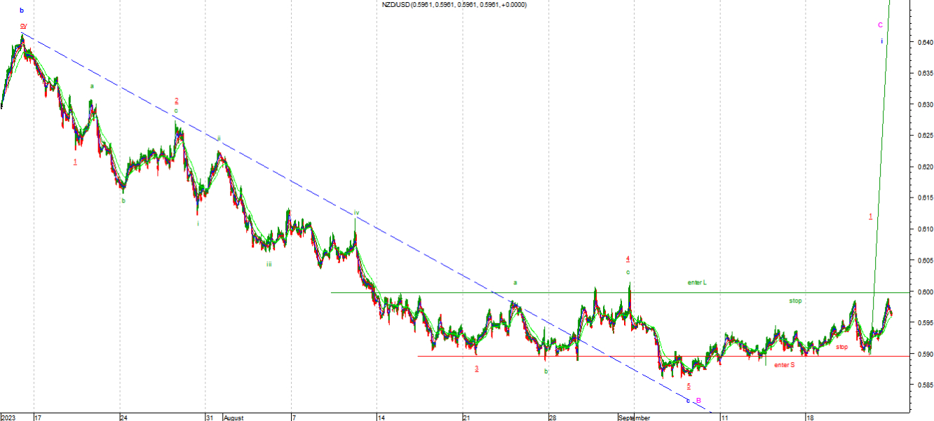 nzd2