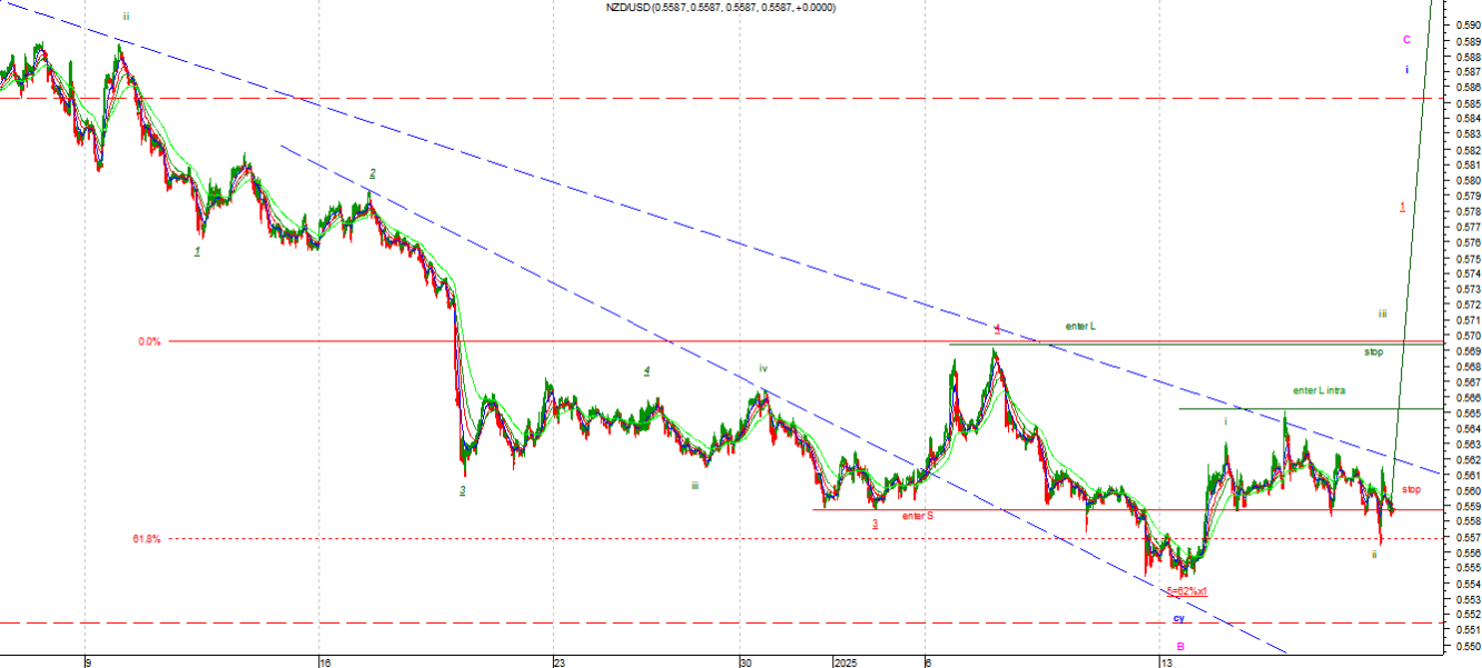 NZD1