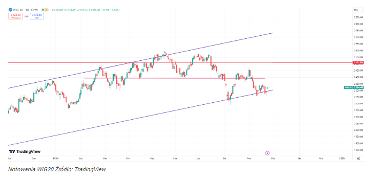 WIG20 rozpoczyna odbicie do 2400 pkt.! Analityk wyjaśnia powody 