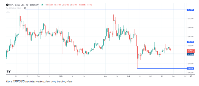 XRP za 1000 USD. Czy kryptowaluta Ripple powtórzy sukces BTC i ETH?