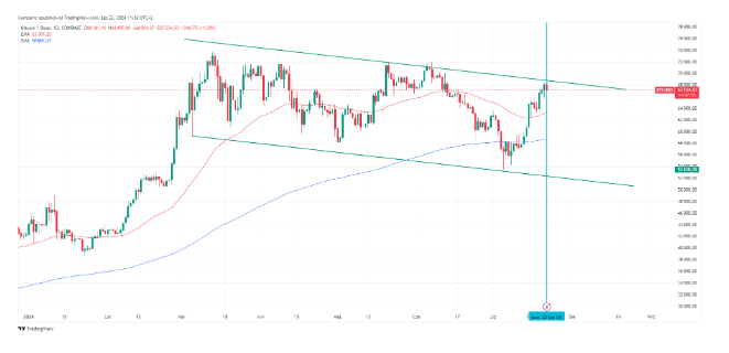 Bitcoin z “ultra taniego” do “dość drogiego” w 2 tygodnie! Cena BTC