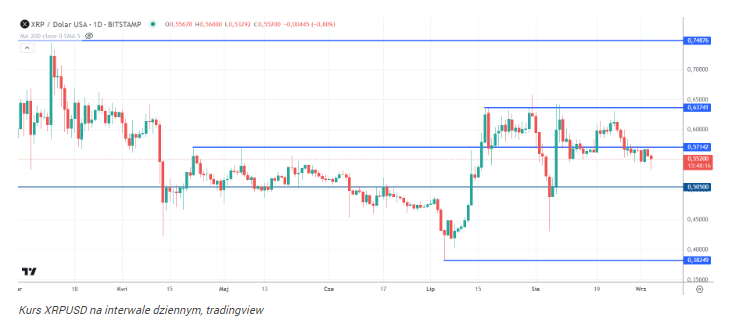 XRP po 100 dolarów? Ekspert kryptowalut przedstawia plan na 