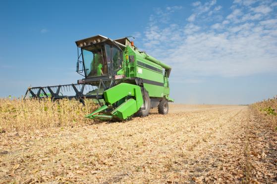 Ceny soi rosną – raport WASDE wskazuje na niższe plony