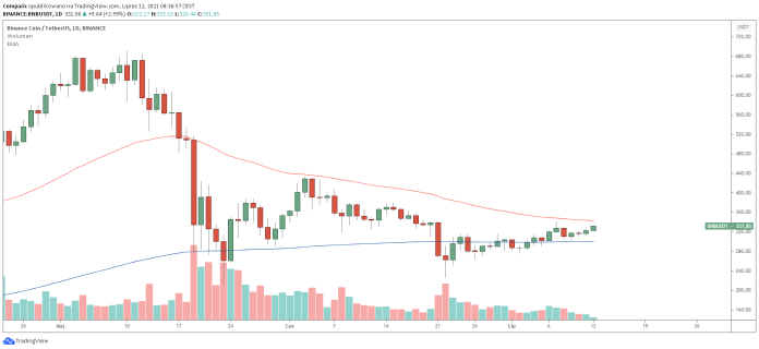 Kryptowaluty. Binance coin (BNB) liderem, ethereum classic (ETC) 