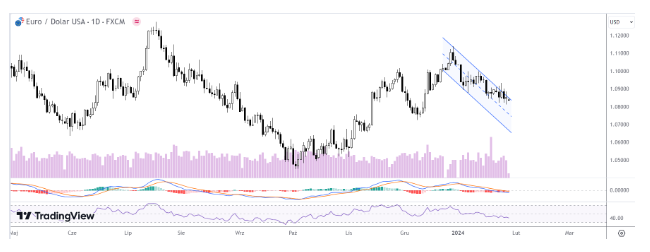 Co dalej z kursem dolara w 2024 roku? Prognoza dla EUR/USD uwzględn