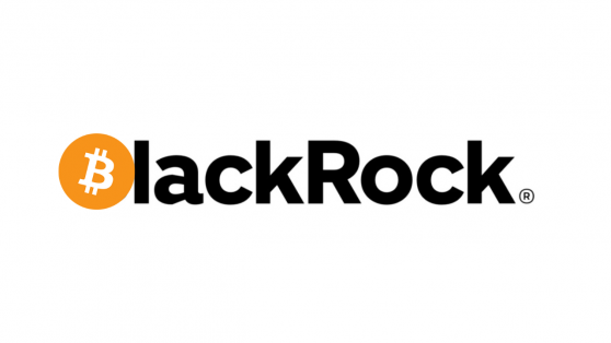 CEO BlackRock Larry Fink postrzega kryptowaluty jako „cyfrowe złoto”. Czy czeka nas „gorączka złota”?