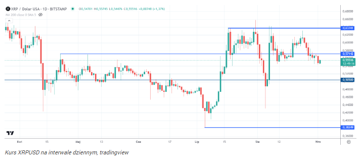 XRP szykuje się na lot do 6 USD. Eksperci kryptowalut przewidują 