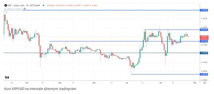 20 000 XRP w 2024 roku to klucz do finansowej wolności?