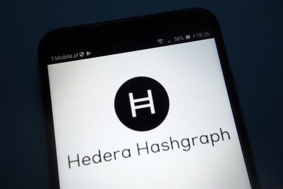 Stowarzyszenie Hashgraph i Swirlds Labs uruchamiają kurs „Budowanie na Hederze”