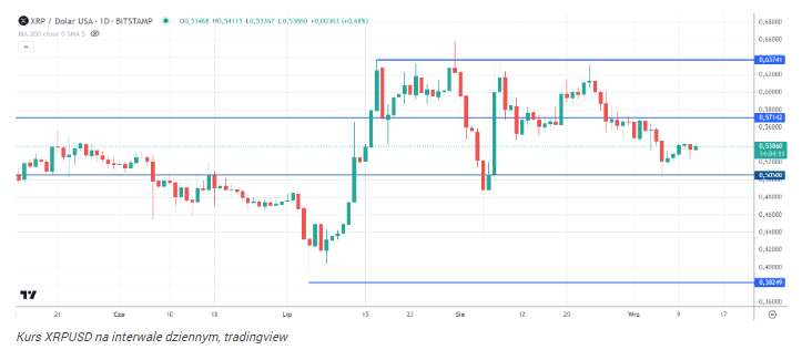 XRP skazany na wzrost o 42 000%. Ripple powtarza ten wzór od 2013 