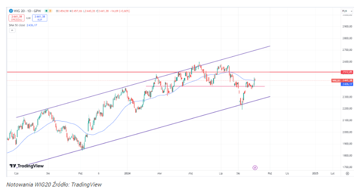 WIG20 idzie na 2500 punktów! Rajd sięga blisko 12%. Czy to powrót 