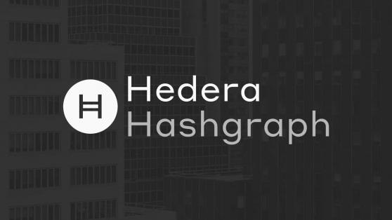 Stowarzyszenie Hashgraph firmy Hedera inwestuje w spółkę zależną WiseKey