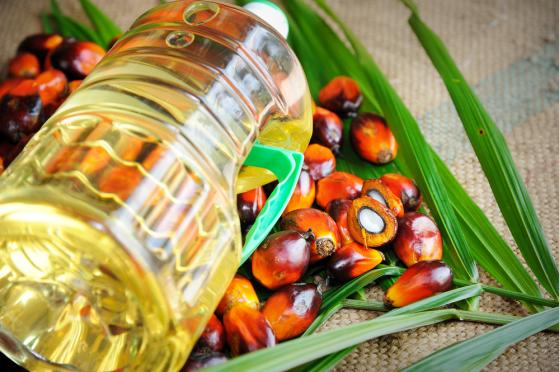 Ceny oleju palmowego gwałtownie się odwracają w związku z obawami o nadpodaż