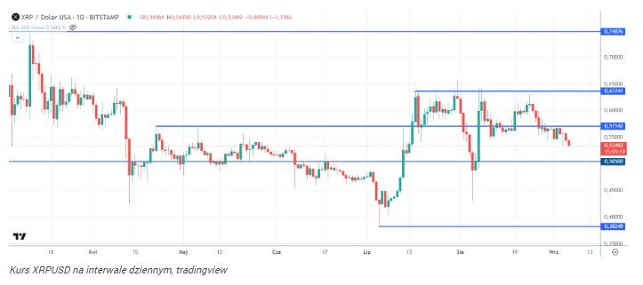 To musi się stać, by XRP osiągnęło 100 USD. Koniec dominacji BTC?