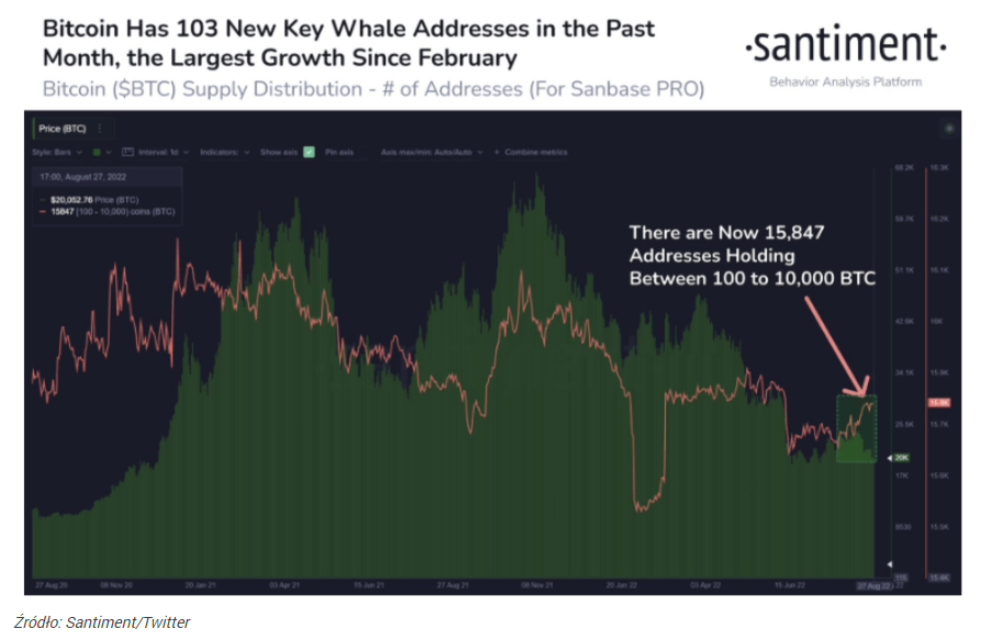 Wzrost aktywności wielorybów Bitcoina. BTC walczy o utrzymanie 20 0