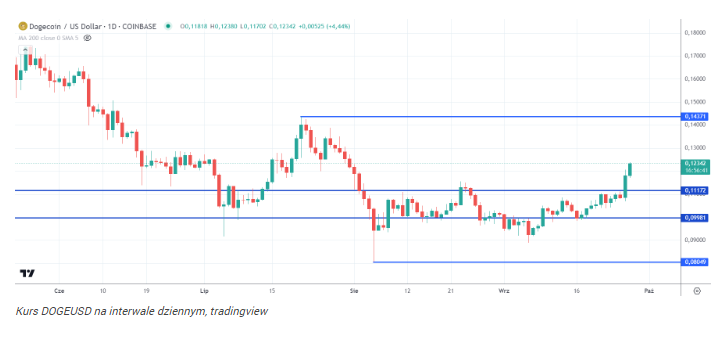 Dogecoin zmierza na 2 USD. Wieloryby dokupiły 1,4 miliarda DOGE
