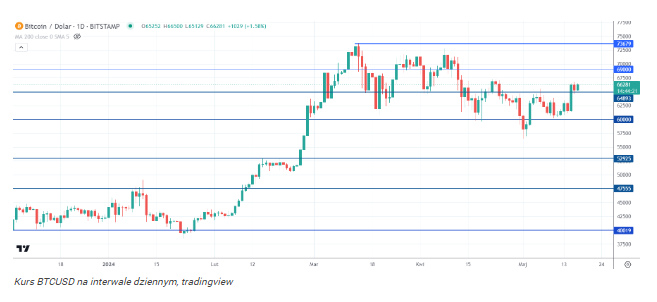 Bitcoin na fali. Rekordowy wzrost BTC w nadchodzących miesiącach?