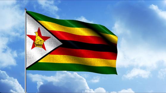 Upadek dolara Zimbabwe: ZWL/USD spadł o 94% w ciągu roku i wzrasta kontrola kapitału