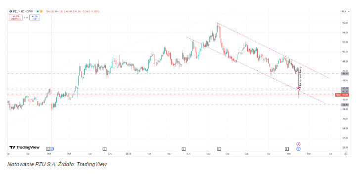 Akcje PZU mocno w dół! Rynek wycenia straty związane z powodzią!