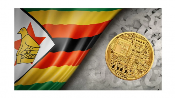 8 maja Zimbabwe zaczyna sprzedaż waluty cyfrowej zabezpieczonej złotem. Czy to pomoże w walce z inflacją ?