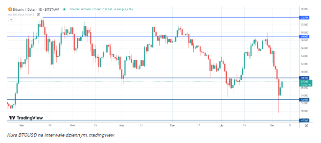 Paraboliczny wzrost Bitcoina na horyzoncie? Wieloryby gromadzą BTC 