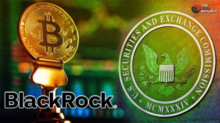 BlackRock Wpłaca 2,5 Miliona Dolarów do SEC