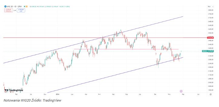 WIG20 kontynuuje odbicie! Ekspert wskazuje kolejne cele!