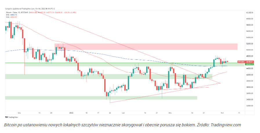 Solana i Terra z najlepszymi wynikami, Bitcoin płasko w ubiegłym ty