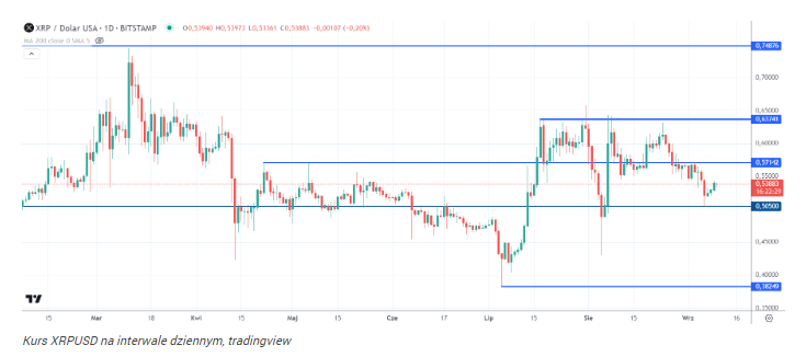 XRP i Bitcoin na progu „wiecznej” hossy? Ekspert kryptowalut 