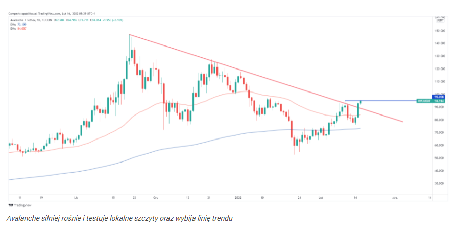 Kryptowaluty z mocnym akcentem. Avalanche (AVAX) i polygon (MATIC) 